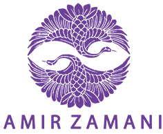 آکادمی استاد زمانی
